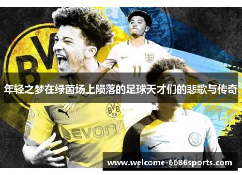 年轻之梦在绿茵场上陨落的足球天才们的悲歌与传奇