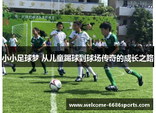 小小足球梦 从儿童踢球到球场传奇的成长之路